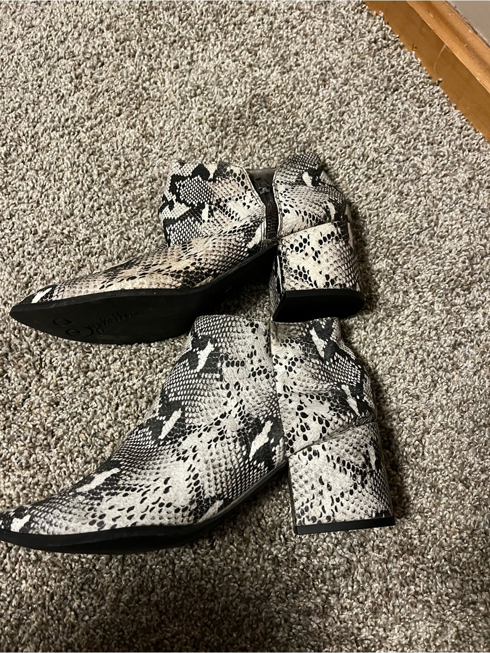 Seychelles Black and White Snake-Print Ankle Booties